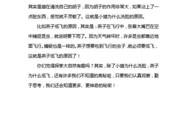 探索名字的奥秘：字义与命运的奇妙联系