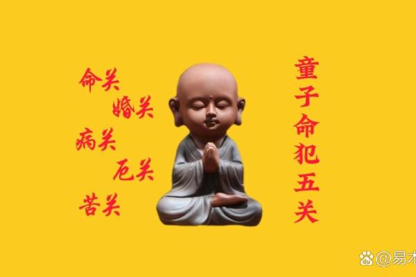 探秘童子命：命理中的独特分类与命运解析