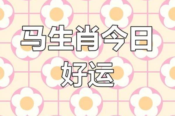 2014年出生的属马人:金命运势与生活智慧探秘 2014年出生的属马人:金命运势与生活智慧探秘