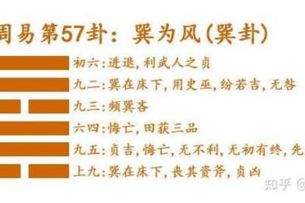 1983年女性命运解析:属于的卦象与人生启示 1983年女性命运解析:属于的卦象与人生启示