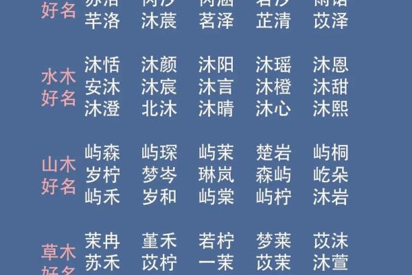2023年兔宝宝男孩的命运与性格解析，如何助他成才！