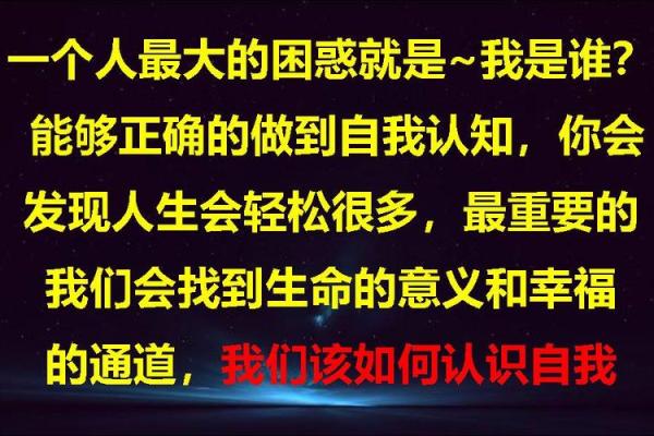 探索生命的意义：从2006年14命运中寻找自我