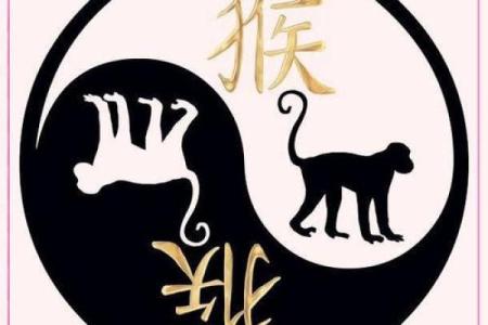 1980年出生的你，属什么命？探秘命理与个性之旅！