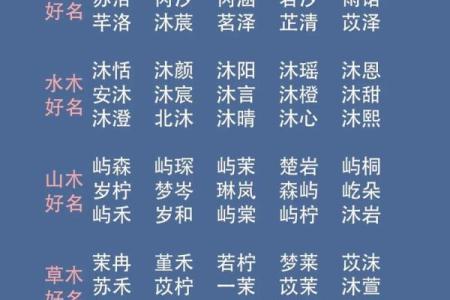 2023年兔宝宝男孩的命运与性格解析，如何助他成才！
