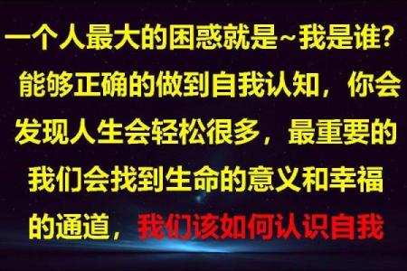 探索生命的意义：从2006年14命运中寻找自我