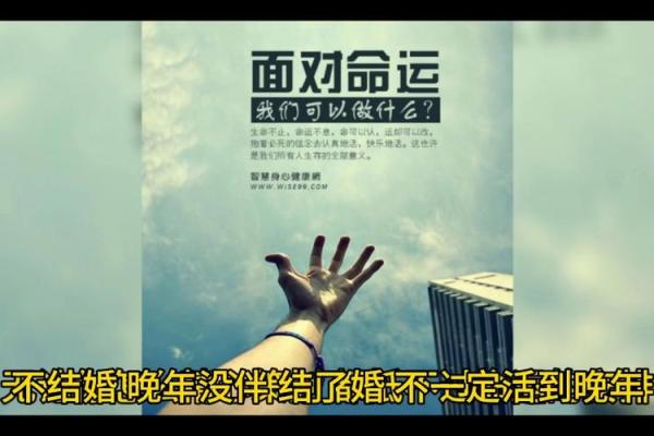 命运的齿轮：探索“命”的深层含义与人生之路