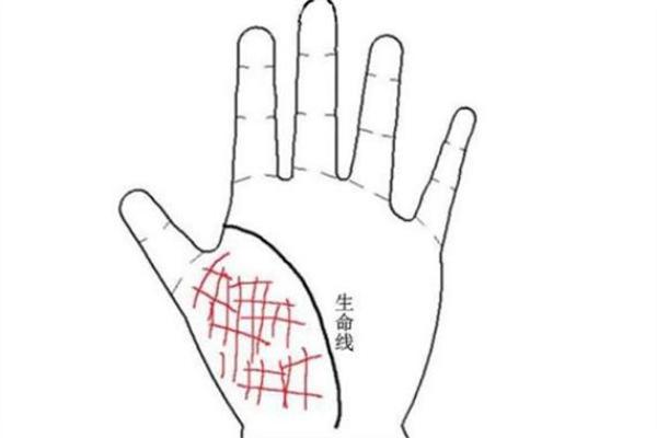 19697年是什么命：深度解析命理与人生轨迹