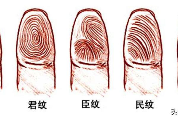 探秘胡适的人生命局与命运格局的奥秘 探秘胡适的人生命局与命运格局的奥秘