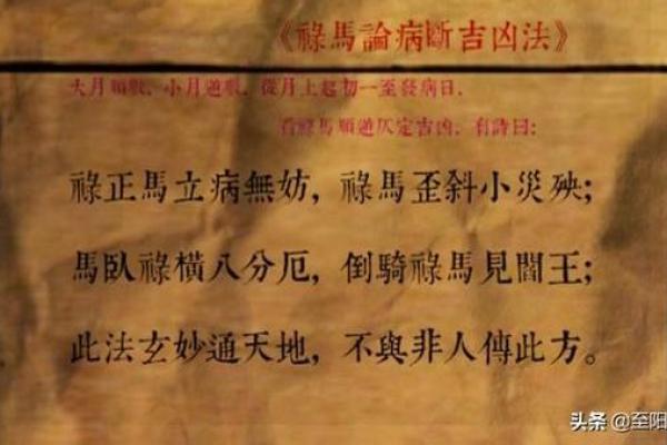 探索正命与非正命：生活的选择与意义