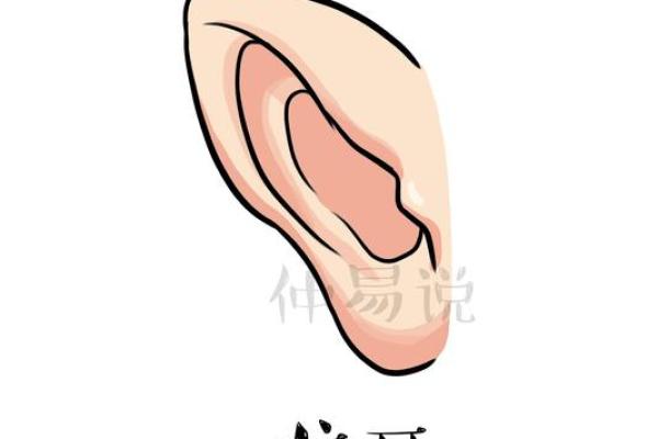 揭秘龙命与蛇命的神秘差异，让你领略命理的奥秘！