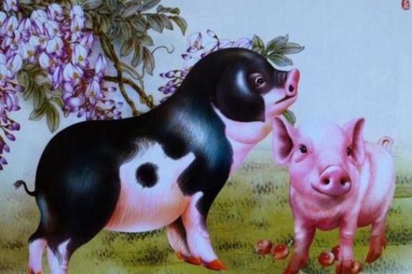 1983年属猪人的命格分析与人生启示 1983年属猪人的命格分析与人生启示