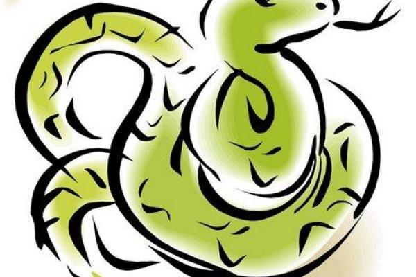 1965年属蛇，探索其命运与性格魅力之旅