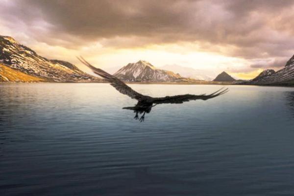 1980年属猴的命运分析：智慧与挑战并存的生命旅程