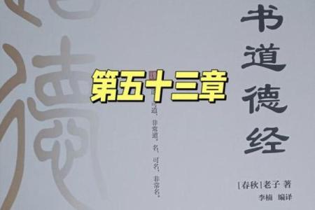 有财避难的命：探寻财富与安全的平衡之道