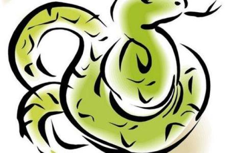 1965年属蛇，探索其命运与性格魅力之旅