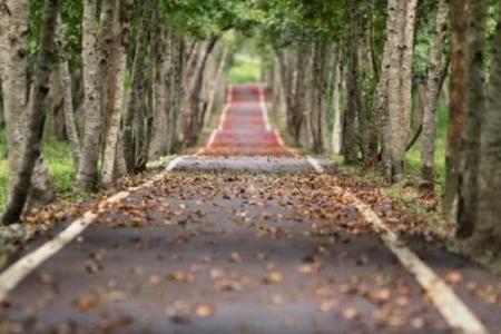 命格解读：如何选择适合自己的道路，让人生走得更远更好