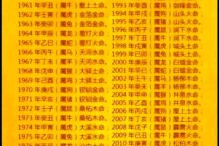2019年出生的孩子，命运走向与性格特征全解析！