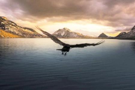 1980年属猴的命运分析：智慧与挑战并存的生命旅程