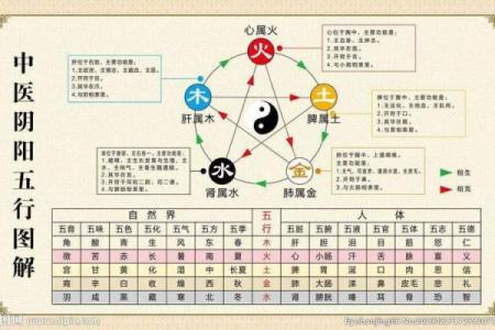 体弱之人命格解读：如何在阴阳中找到平衡与力量