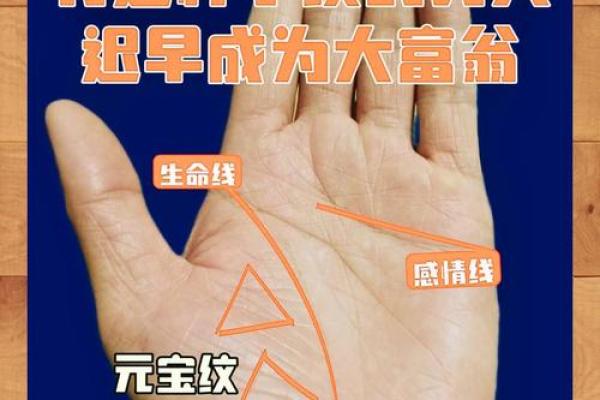 探寻面相之美，解码富贵命理的奥秘！