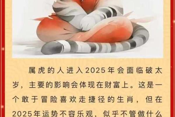 2025年命理解析：如何掌握你的命运与人生机遇
