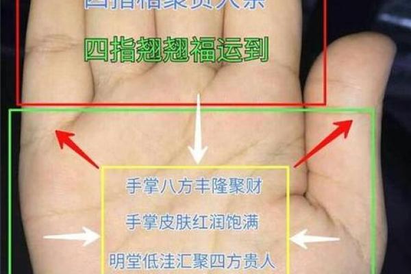 从手相看土豪命:揭示成功男性的财富密码 从手相看土豪命:揭示成功男性的财富密码
