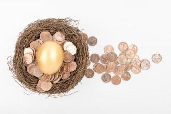 火命店里的最佳宠物选择:让你的生活充满热情与活力! 火命店里的最佳宠物选择:让你的生活充满热情与活力!