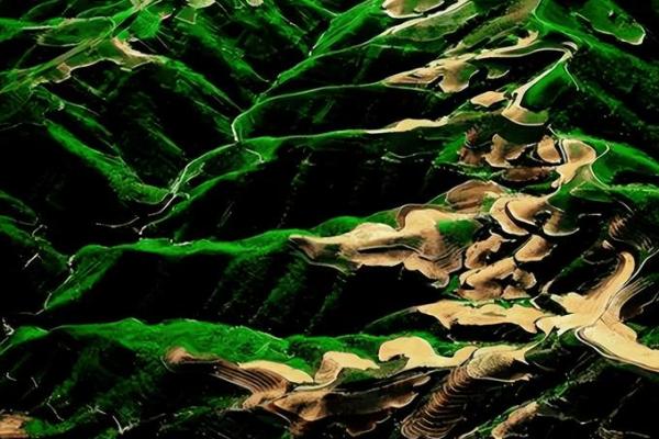 2029年,黄土之年:了解你的命运与运势 2029年,黄土之年:了解你的命运与运势