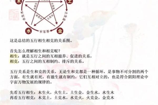 探索水命与金命：属相背后的深刻寓意与命理智慧