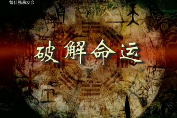 1986年什么命:探寻个性与命运的奥秘之旅 1986年什么命:探寻个性与命运的奥秘之旅