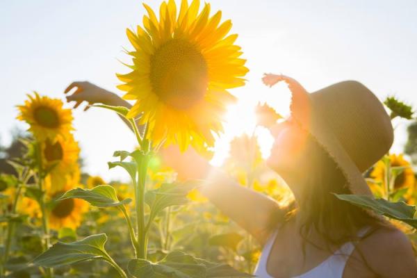 1987年火命人:燃烧自己照亮他人的人生哲学 1987年火命人:燃烧自己照亮他人的人生哲学