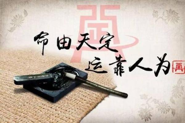 探索2019年属相的命运之旅,如何迎接属于你的好运气! 探索2019年属相的命运之旅,如何迎接属于你的好运气!