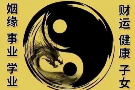 乙木命与哪种命最合财，探秘命理财富之道