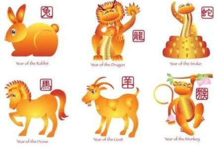 揭秘1999年的属相命理：兔年出生人的独特人生轨迹