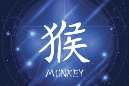 2004年属猴人的命运与性格特征解析