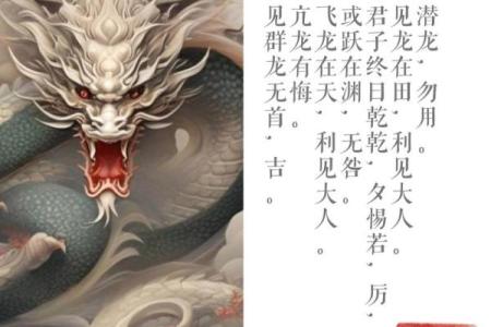 1968年属什么命？探索这年的生肖与命运之谜