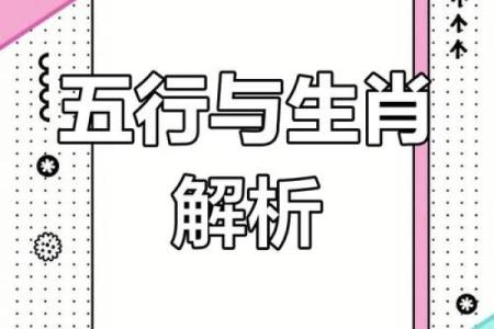 探秘名字背后的命理五行，揭示你的命格奥秘
