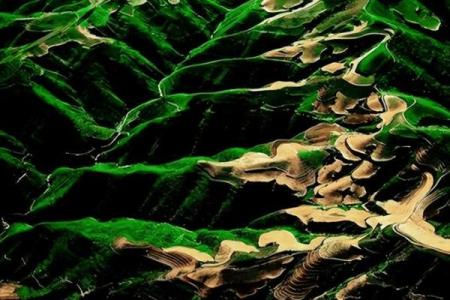 2029年，黄土之年：了解你的命运与运势