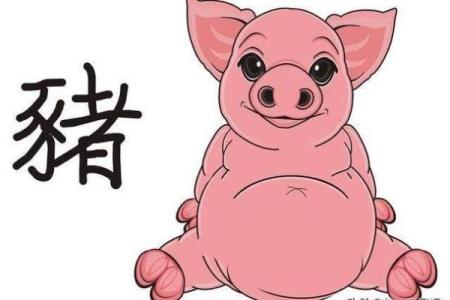 探秘生肖之猪：正月十八出生者的命运与性格特征