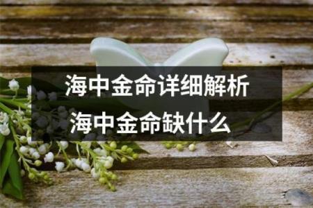 海中金命的人适合的颜色与购置建议解析