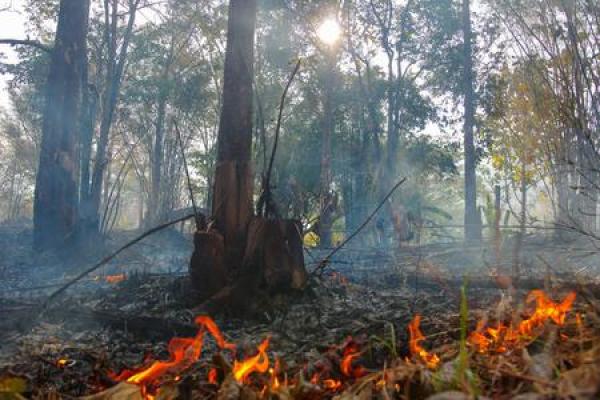 1996年火命人的颜色选择:点亮人生的火焰 1996年火命人的颜色选择:点亮人生的火焰
