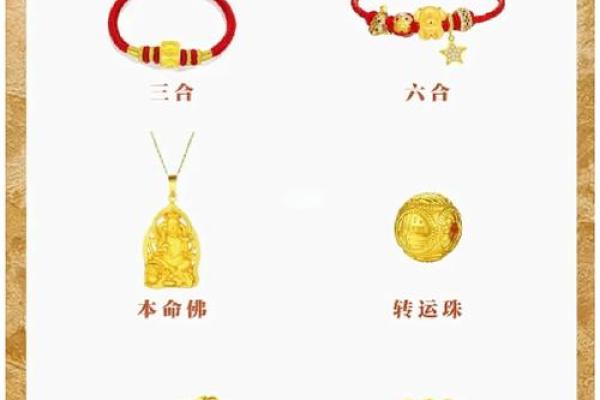 2023年属兔人的命运解析与生活指导 2023年属兔人的命运解析与生活指导