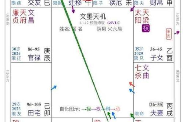 探秘命主贪狼：财富与机遇的化身