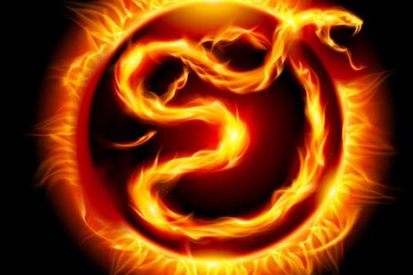 丁巳蛇年命运揭秘:智慧与魅力的双重交汇 丁巳蛇年命运揭秘:智慧与魅力的双重交汇