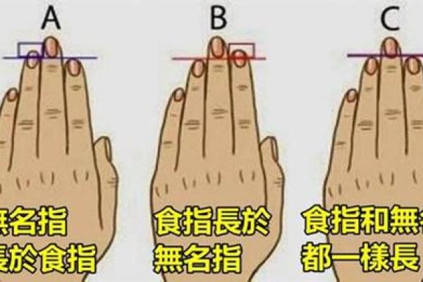 根据命格分析适合美发工作的八大类型