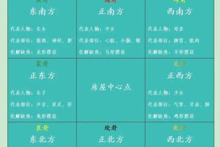 土命与木命的商业财运：破财化解之道