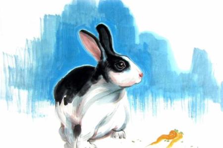 1972年鼠女的命运与人生：解读她们的独特个性与潜能