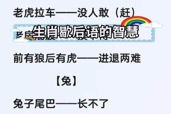 揭示十二生肖男人命运:他们各自的性格与命格解读 揭示十二生肖男人命运:他们各自的性格与命格解读