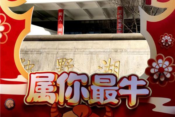 1986年出生的牛年命运解析：激情与奋斗的结合体