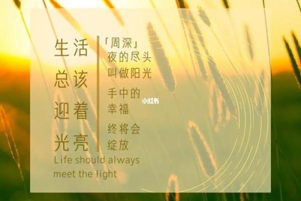 当命运的重担压在肩头,如何找到生活的光亮? 当命运的重担压在肩头,如何找到生活的光亮?